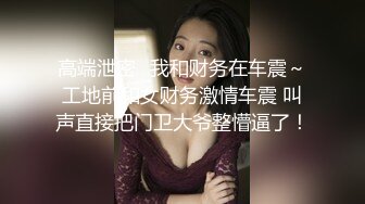 高端泄密⭐我和财务在车震～工地前和女财务激情车震 叫声直接把门卫大爷整懵逼了！