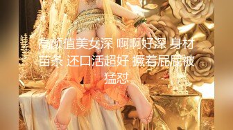 (BC-AA-236)S049后续..再次偶遇花裙美女逛街..弯腰时被抄底粉内