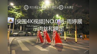 国产AV 糖心Vlog P先生的百人斩系列