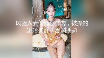 (申精)大奶小母狗被操超清晰版