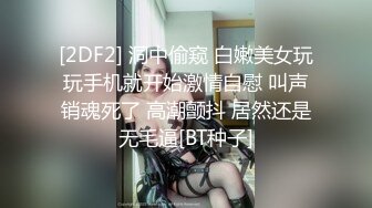 白虎少女福利姬- 小金鱼 [私家女仆] 破洞黑丝美鲍诱惑 附视2V 