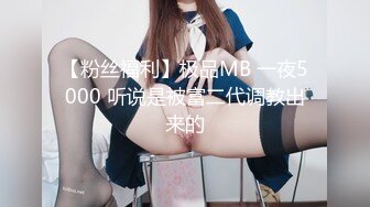 高级注册会计师老婆的发情日常