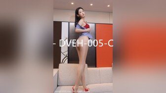 放浪传媒FX-0003傲慢女上司