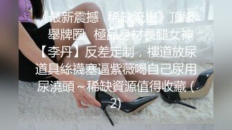 伪娘CD小舞，天黑了请干点坏事，穿上连体黑丝袜露出，霓虹灯车来车往撸JJ，完了还蹲着尿尿！