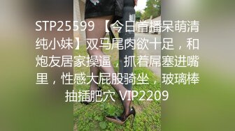 抖音漏点门最全66V整合1V重新压制 亮点自己找