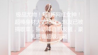 PME159 蜜桃影像传媒 美胸少妇被催眠成了小母狗 吴芳宜(黎芷萱)