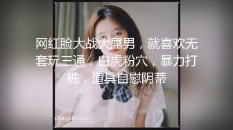 华裔博主mvLust onlyfans高清原档合集【138V】 (1)