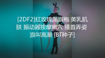 [2DF2]红玫瑰黑旗袍 美乳肌肤 振动器按摩嫩穴 搔首弄姿 浪叫高潮 [BT种子]