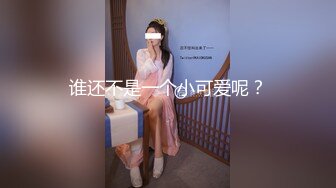 海蛎煎的空乘小母狗