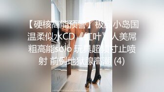 丝袜服饰系列写真~美腿丝袜【19V】 (6)