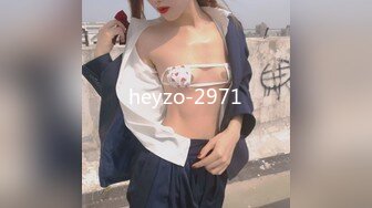 heyzo-2971