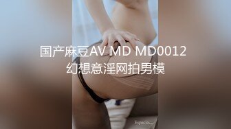 国产麻豆AV MD MD0012 幻想意淫网拍男模