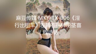 麻豆传媒 MKY-TX-006《淫行出租车》左转右拐神秘茎喜！程诗诗