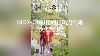 MDX-0183拷问出轨男闹乌龙-顾桃桃