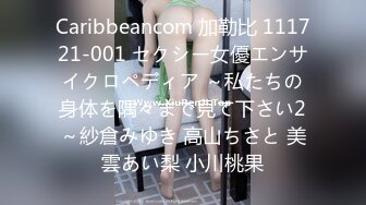 Caribbeancom 加勒比 111721-001 セクシー女優エンサイクロペディア ～私たちの身体を隅々まで見て下さい2～紗倉みゆき 高山ちさと 美雲あい梨 小川桃果