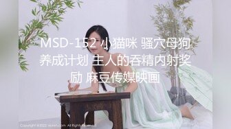 MSD-152 小猫咪 骚穴母狗养成计划 主人的吞精内射奖励 麻豆传媒映画